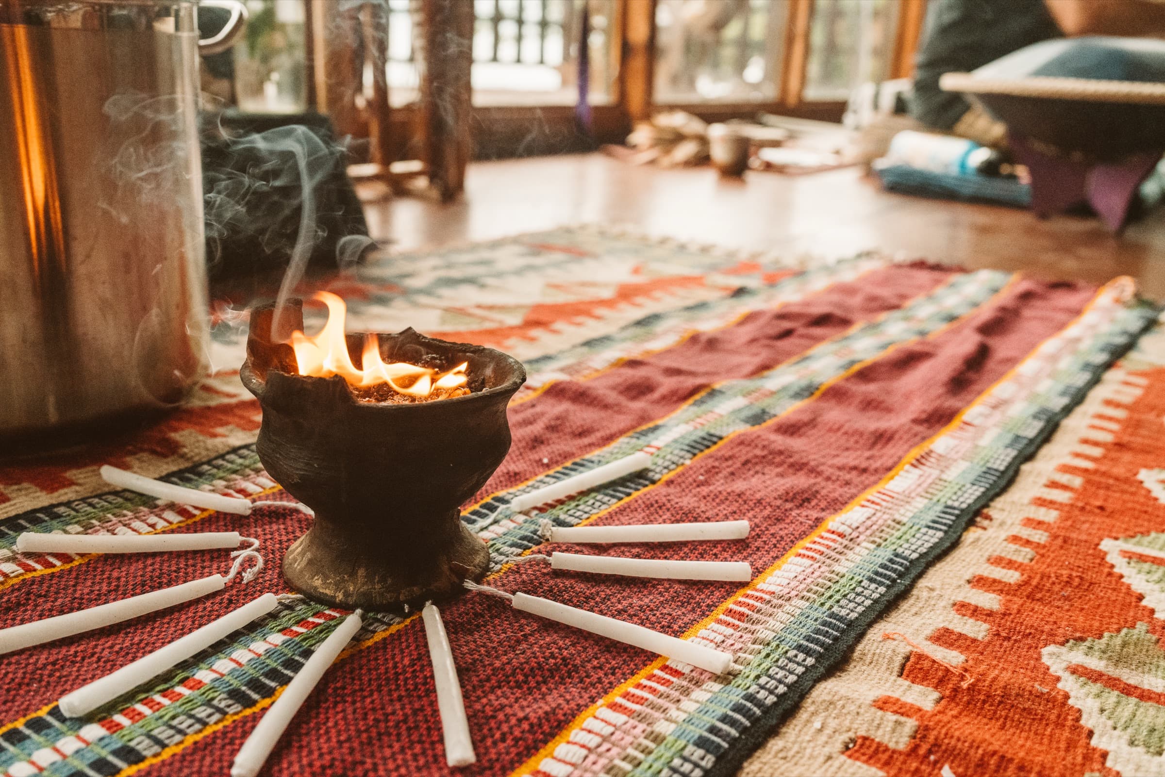 Cacao Source training on the land at Mystical Yoga Farm